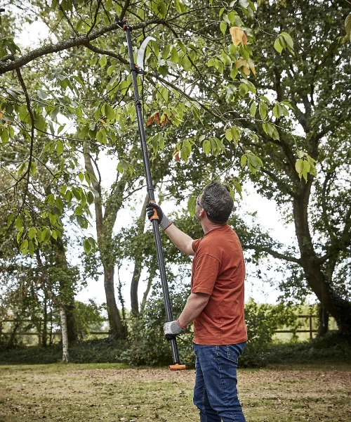 Magnusson-Tree-Bypass-Telescopic-Loppers-4-500x600-1.webp